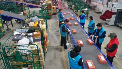 美國農業補貼再增190億美元，為何農場破產率仍飆升8%？出口受阻成關鍵因素