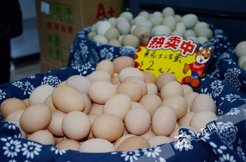 江北華新街鄉(xiāng)村振興創(chuàng)新創(chuàng)業(yè)園啟航，初級農(nóng)產(chǎn)品升級迎來新機(jī)遇