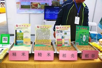 濟(jì)南都市農(nóng)產(chǎn)品博覽會(huì) 初級(jí)農(nóng)產(chǎn)品閃耀登場(chǎng)，優(yōu)秀企業(yè)與十佳商品評(píng)選火熱進(jìn)行